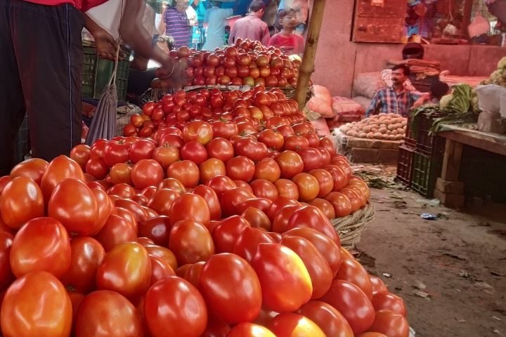 टमाटर