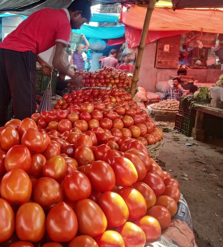 टमाटर