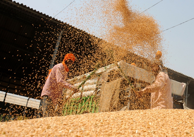 Grain Market