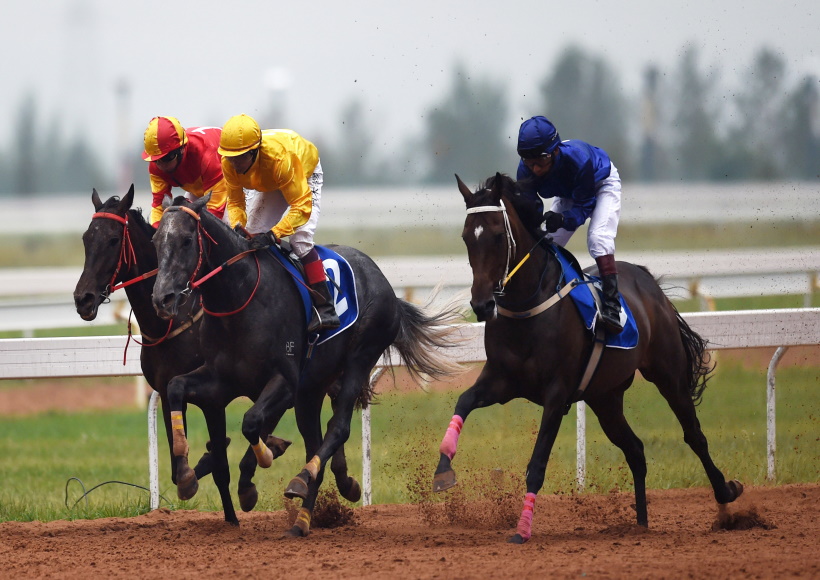 घुड़दौड़