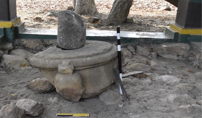 ASI finds temples, Buddhist caves, Mughal era coins in MP.