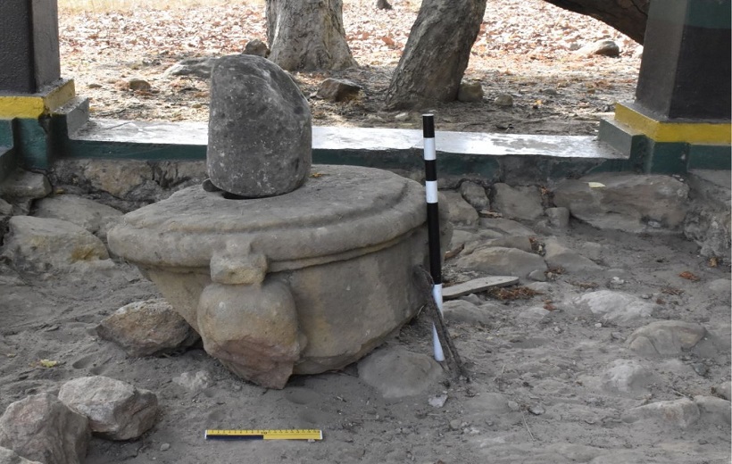 ASI finds temples, Buddhist caves, Mughal era coins in MP.