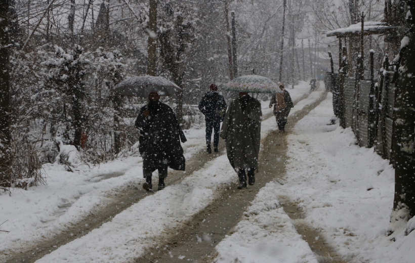 Srinagar: People shield themselves with umbrellas during heavy snowfall in Srinagar