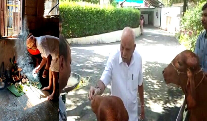 K'taka BJP leaders celebrate Balipadyami by performing cow worship.