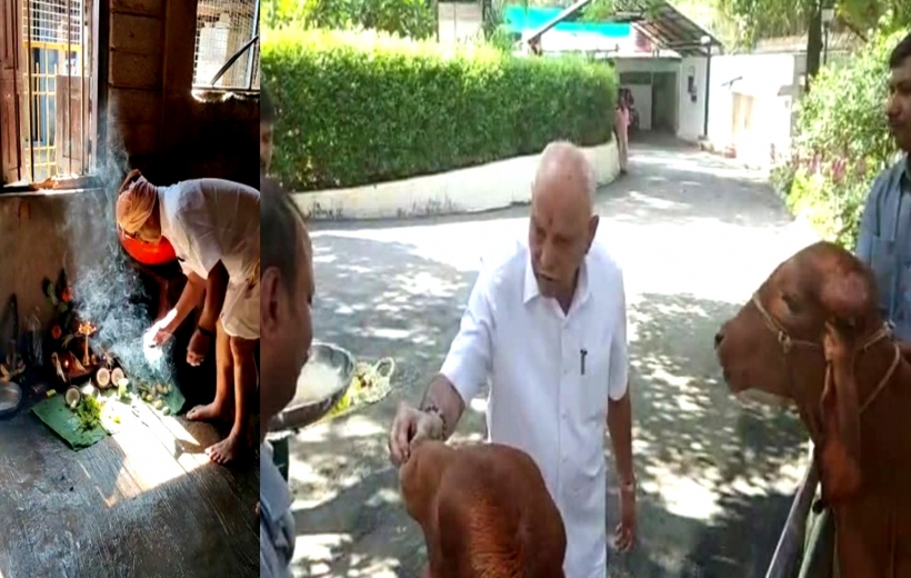 K'taka BJP leaders celebrate Balipadyami by performing cow worship.