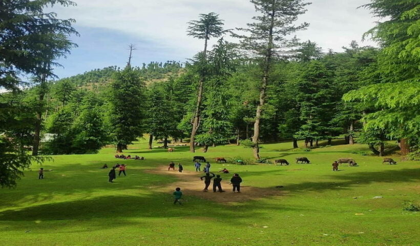 Chashme Shahi in Srinagar as record high temperatures seen.