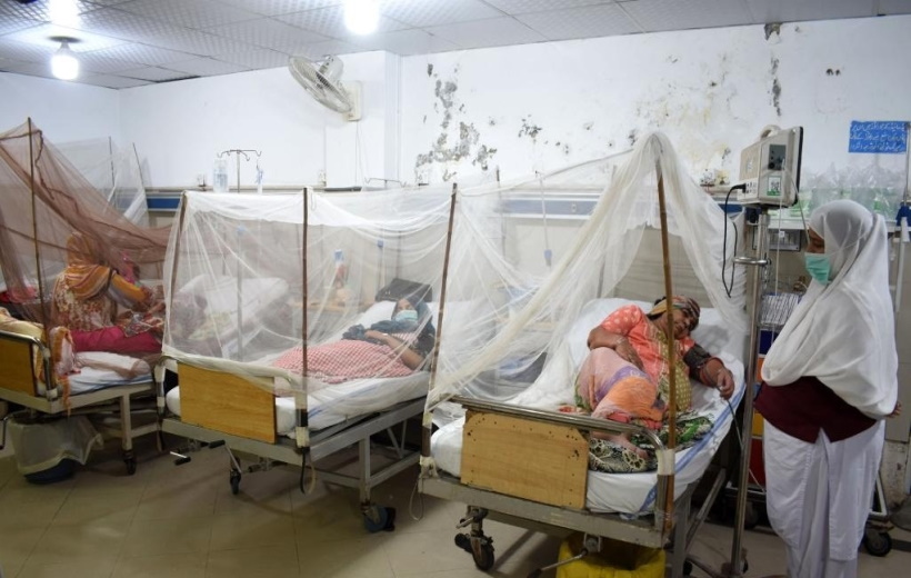 Patients infected with dengue fever are treated inside mosquito nets at a hospital in Peshawar, Pakistan,