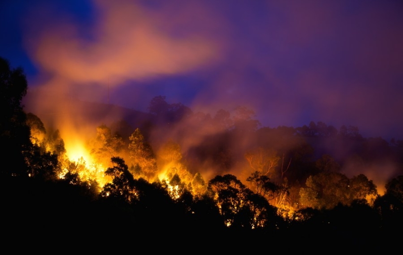 Photo provided by the Commonwealth Scientific and Industrial Research Organisation (CSIRO) on July 1, 2022, shows a bushfire in Australia.