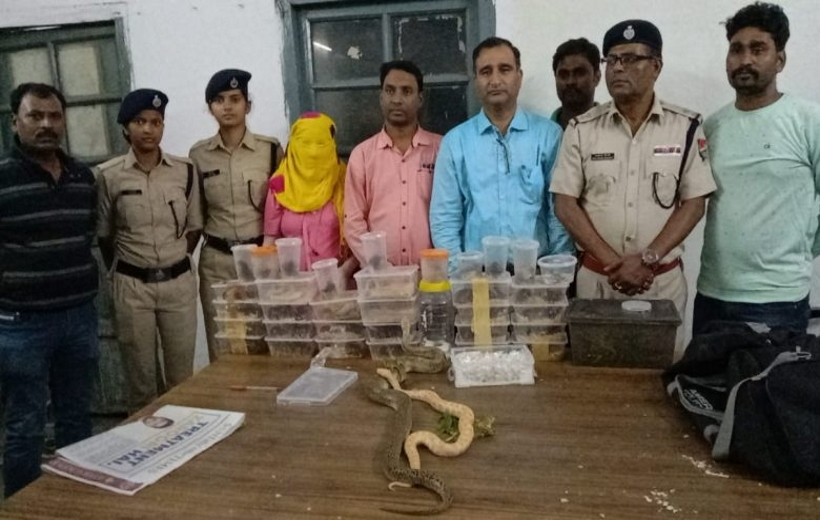 Woman was traveling on a train with 28 pythons, snakes and chameleons worth crores, arrested in Tatanagar.