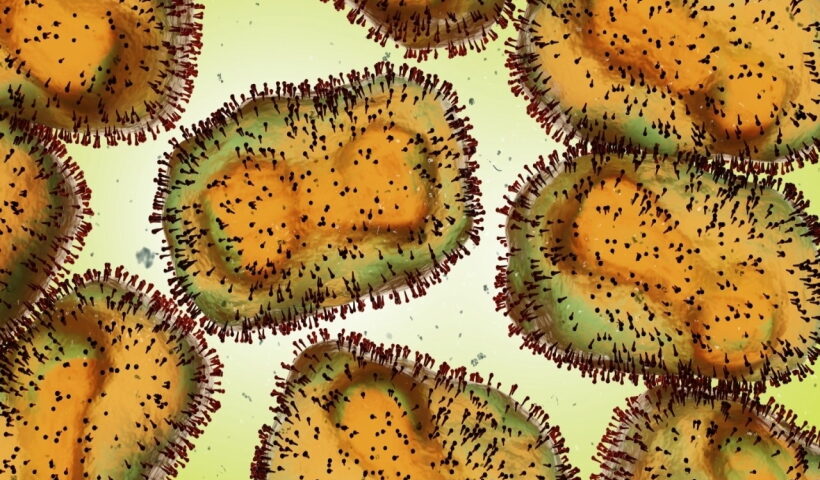 Mutations have made monkeypox 'smarter': Indian-origin scientists