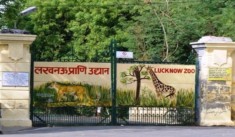 Lucknow zoo.