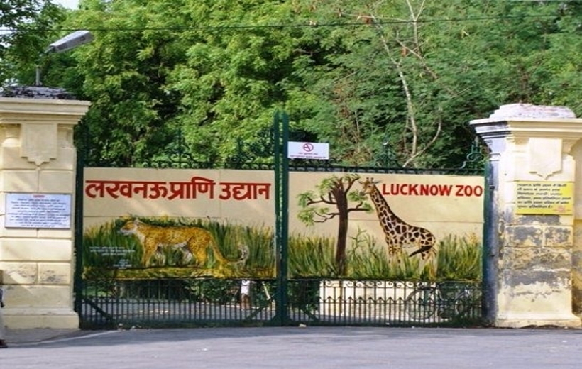 Lucknow zoo.