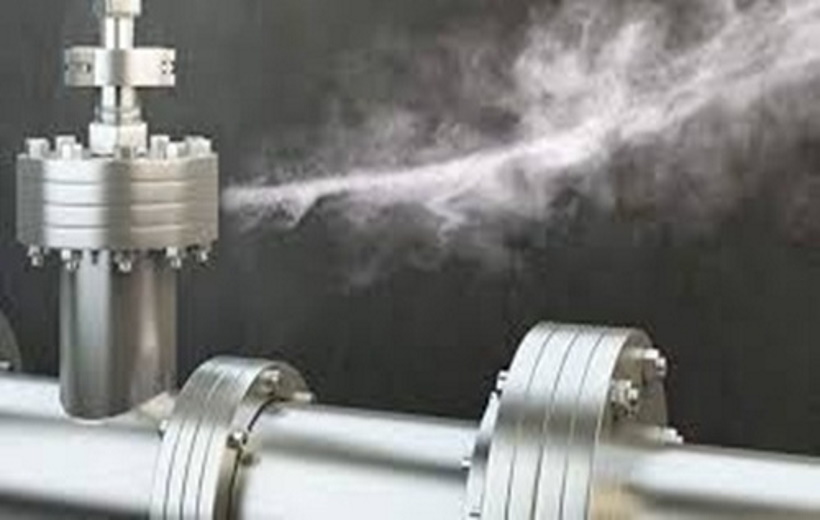 Probe ordered into fatal ammonia gas leakage at Goa factory.