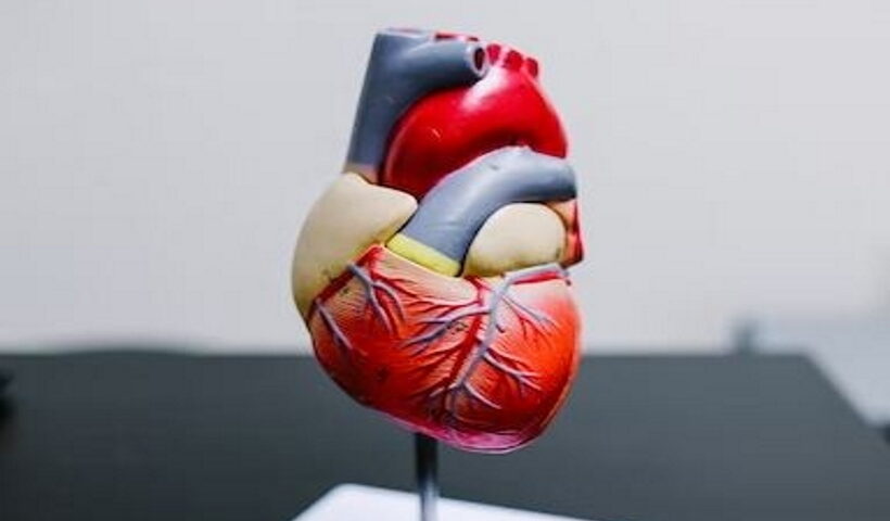 High 'good' cholesterol levels no guarantee for low heart disease risk