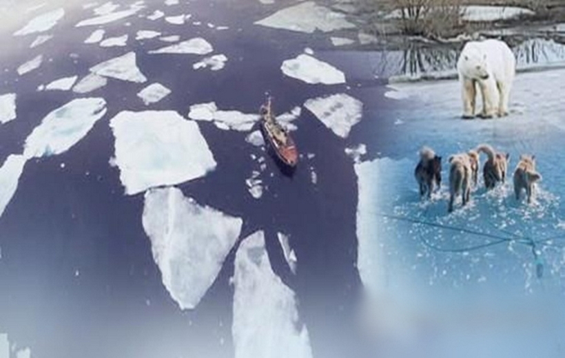 Seoul : Global climate change