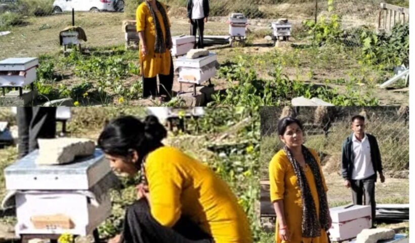 Corona saved Delhi, livelihood showed a new way in the village.