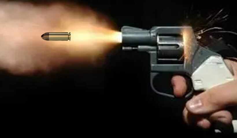 gun