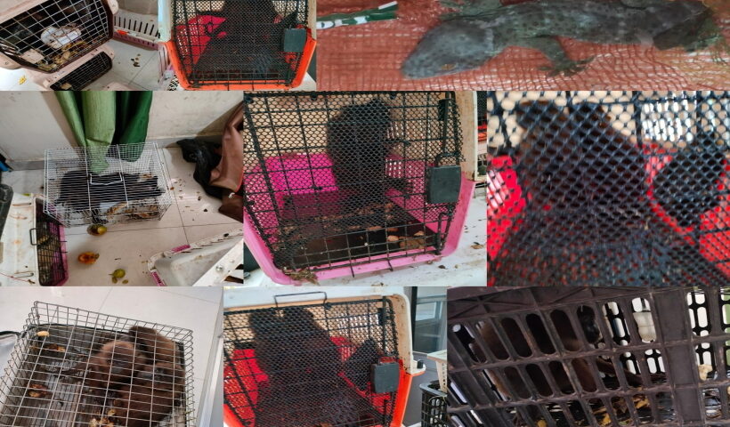 India-Myanmar border: Narco corridor to hotspot for smugglers of exotic species.