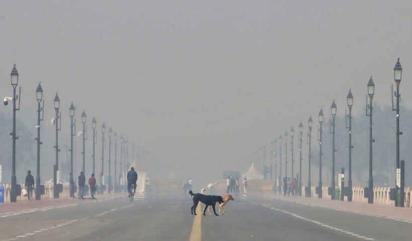 New Delhi: A view of Kartavya Path covered with the thick layer of smog, in New Delhi on