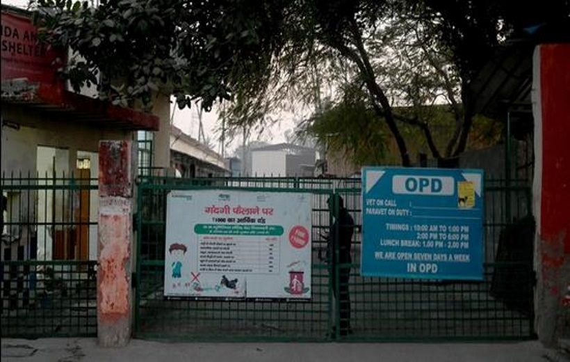 110 goats and goats missing from animal shelter, court orders police to return them.