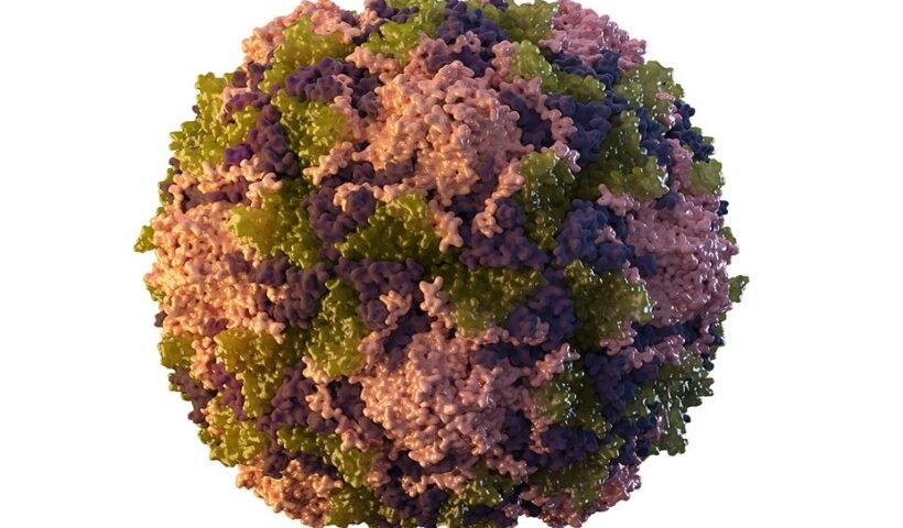 UK detects polio virus in London sewage samples.
