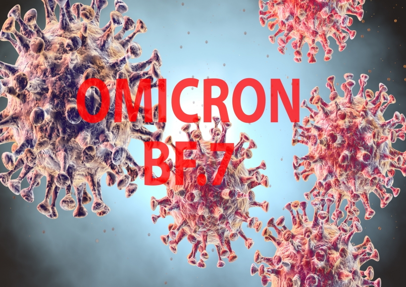 Corona Virus