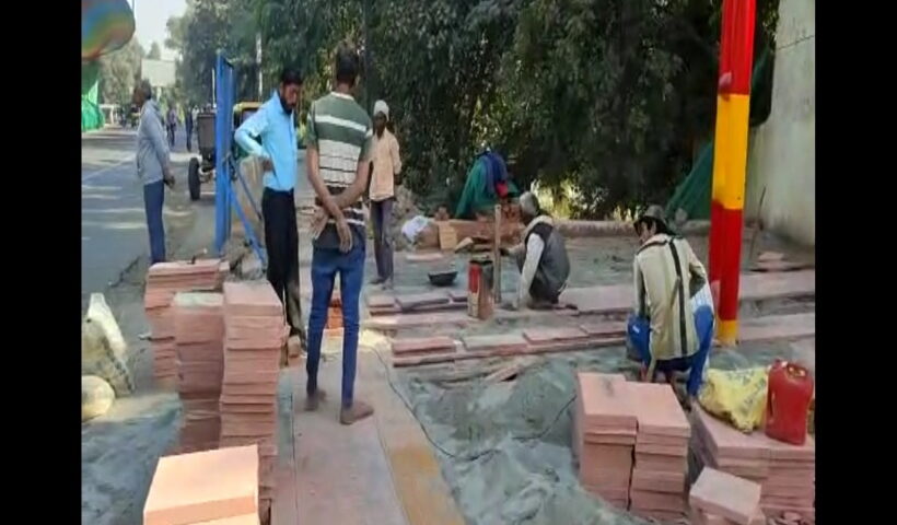 Street scaping projects will be developed as Biodiversity Park.