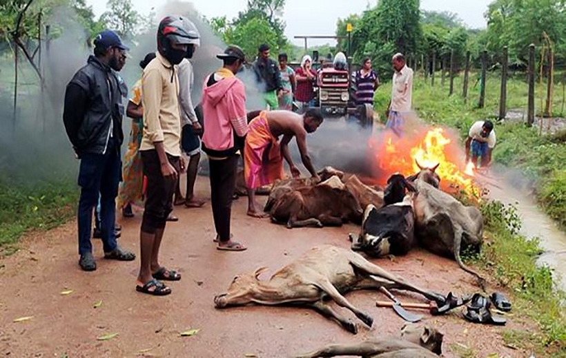 Slaughter houses in SL's East ordered to close as extreme climate killed livestock.