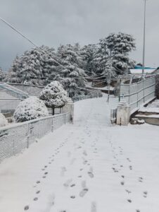 Snowfall in Mussoorie including Kedarnath, Gangotri, weather changed on the mountains, white sheet of snow.