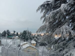 Snowfall in Mussoorie including Kedarnath, Gangotri, weather changed on the mountains, white sheet of snow.