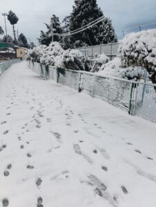 Snowfall in Mussoorie including Kedarnath, Gangotri, weather changed on the mountains, white sheet of snow.