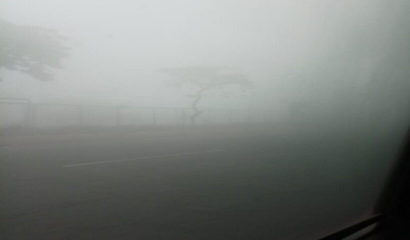 Dense fog hampers visibility
