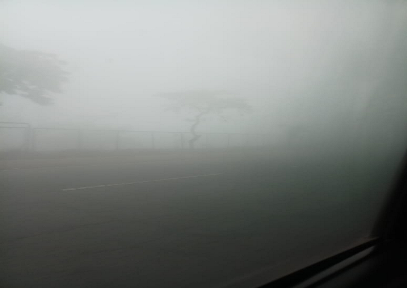 Dense fog hampers visibility