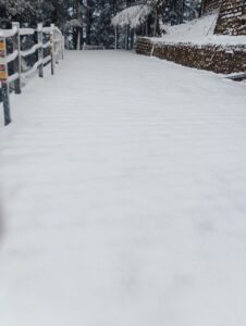 Snowfall in Mussoorie including Kedarnath, Gangotri, weather changed on the mountains, white sheet of snow.