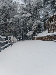 Snowfall in Mussoorie including Kedarnath, Gangotri, weather changed on the mountains, white sheet of snow.