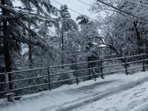 Snowfall in Mussoorie including Kedarnath, Gangotri, weather changed on the mountains, white sheet of snow.