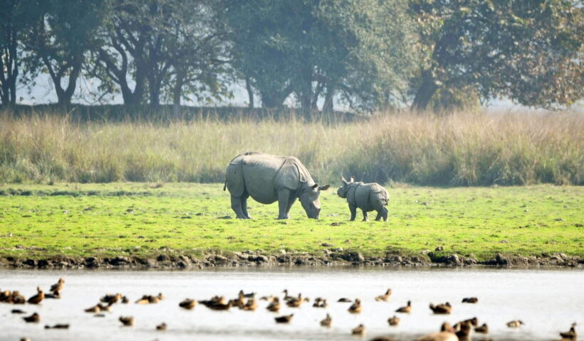 बंगाल वन विभाग पर्यटकों के लिए वन्यजीव अभयारण्यों के भीतर सीमाएं निर्धारित करेगा