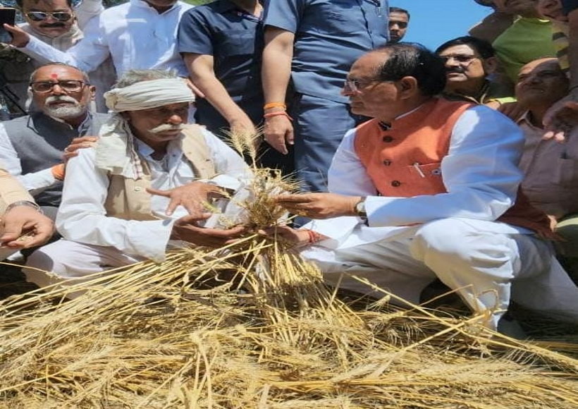 सीएम शिवराज ने राज्य में बारिश से बर्बाद हुई फसल का जायजा लिया, मुआवजा और राहत का ऐलान
