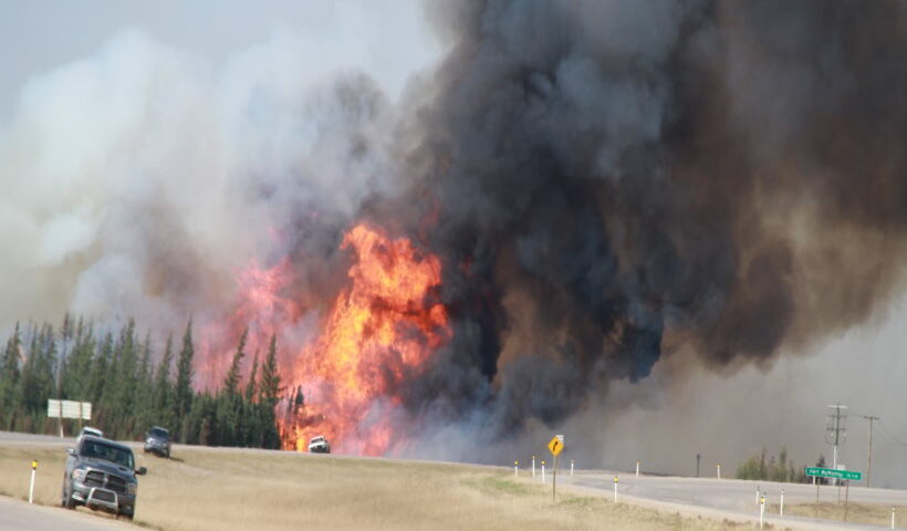 जंगलों में लगी आग