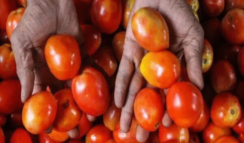 Indian expat in Dubai flies home with 10kg tomatoes in suitcase