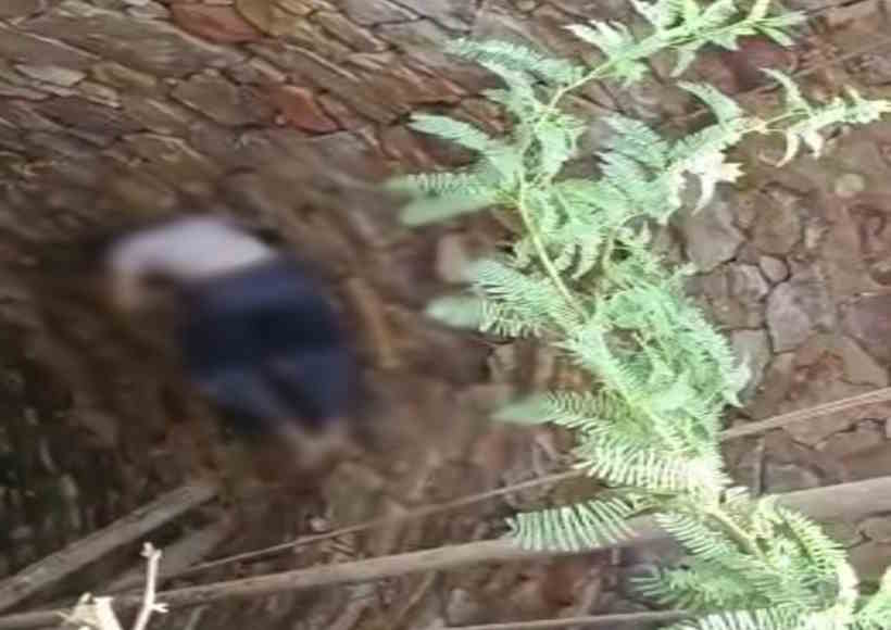 Dalit woman found dead