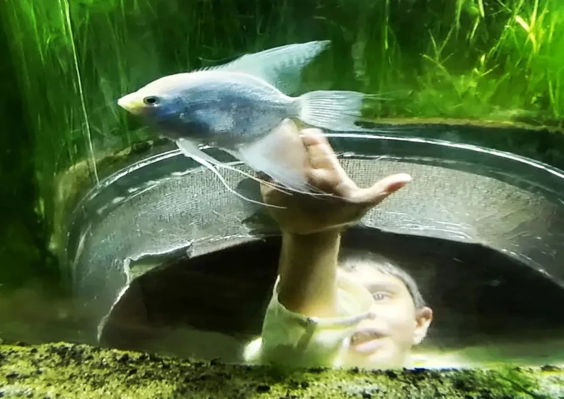 सुचना सेठ की आखिरी इंस्टाग्राम पोस्ट