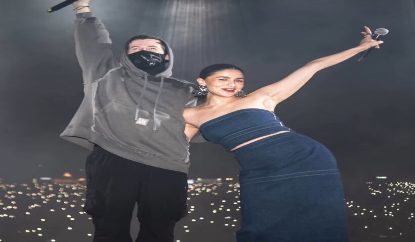 डीजे एलन वॉकर और आलिया भट्ट