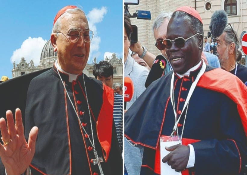 पोप फ्रांसिस के उत्तराधिकारी के चयन की प्रक्रिया (तस्वीर क्रेडिट@m_mugnani)