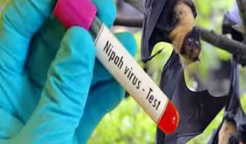 निपाह वायरस