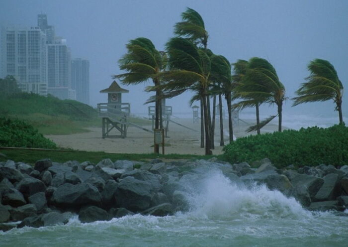 जमैका में तूफान ‘मेलिसा’ का कहर (तस्वीर क्रेडिट@ANKITAVASTHI02)