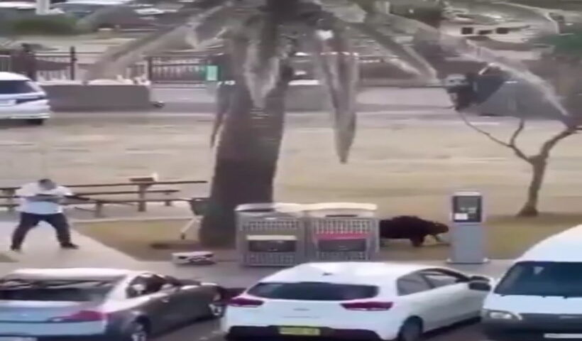 सिडनी में यहूदी समुदाय पर हमले से दुनिया स्तब्ध (तस्वीर क्रेडिट@AnilYadavmedia1)