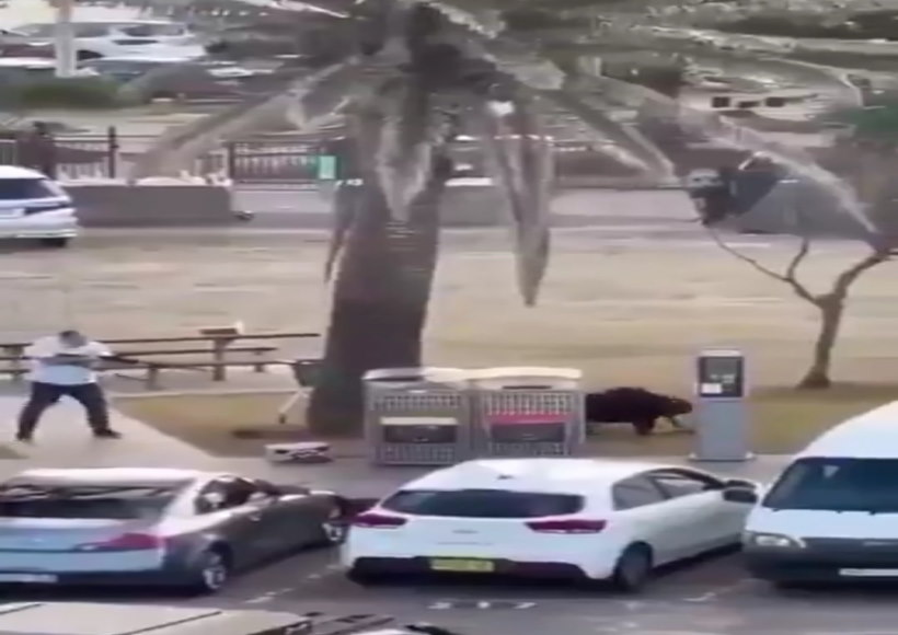 सिडनी में यहूदी समुदाय पर हमले से दुनिया स्तब्ध (तस्वीर क्रेडिट@AnilYadavmedia1)