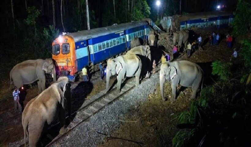 असम में राजधानी एक्सप्रेस हाथियों के झुंड से टकराई (तस्वीर क्रेडिट@yuva_aas)