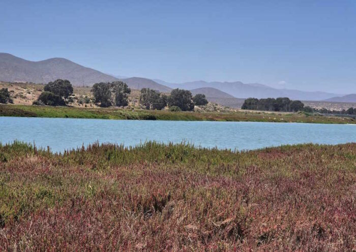 चिली के अटाकामा के स्वच्छ आसमान को राहत(तस्वीर क्रेडिट@Maisa_Rojas)